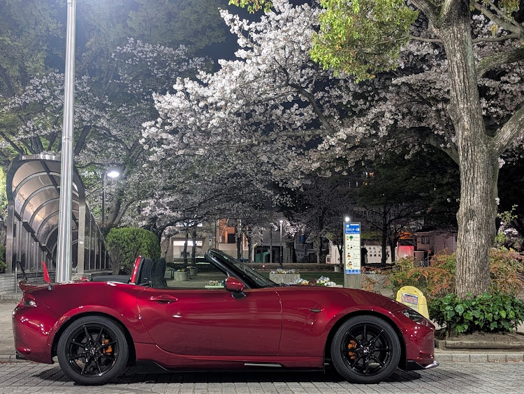 ロードスターのいつもイイネ&コメントありがとうございます🙇‍♂️・マツダのある暮らし・桜コラボ・夜ドラは体力回復に関するカスタム事例の投稿画像6枚目