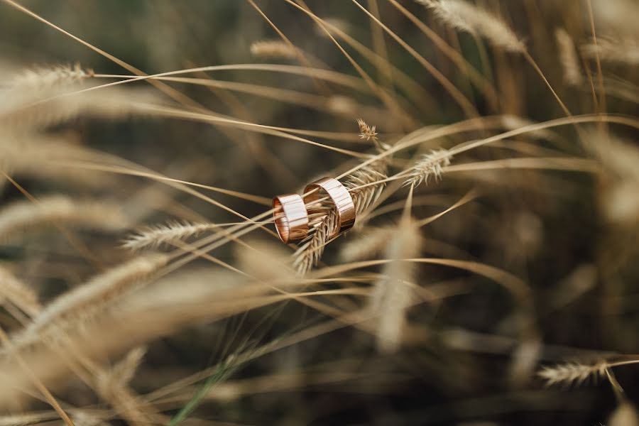 Fotógrafo de casamento Viktoriya Zolotovskaya (zolotovskay). Foto de 23 de agosto 2019