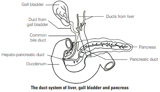 Solution Image