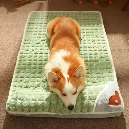 Machine Washable Dog Bed Removable Orthopedic Puppy Cushion Winter Memory Foam Dog Pillow For Small Medium Large Dogs An