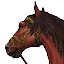 Horses HD new free tab theme