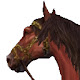 Horses HD new free tab theme