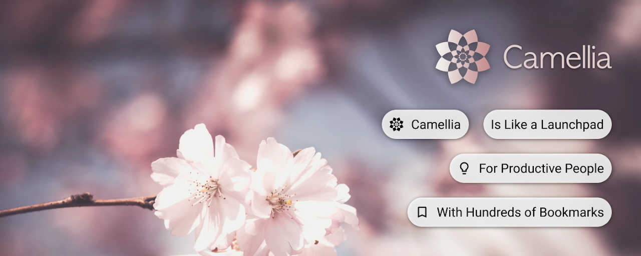 Camellia Preview image 8