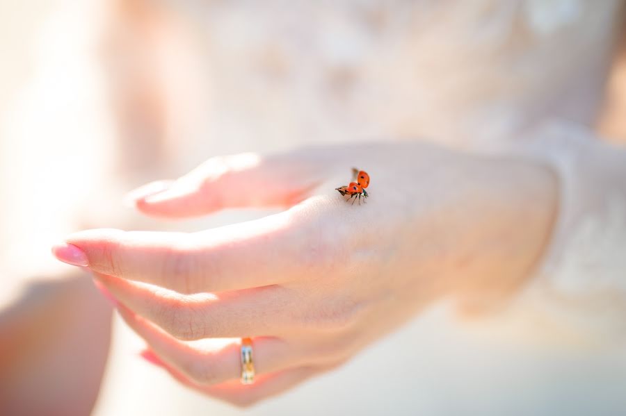 Wedding photographer Bogdan Terente (terente). Photo of 6 October 2021