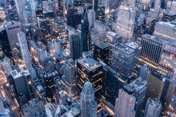 Fireflies in the City