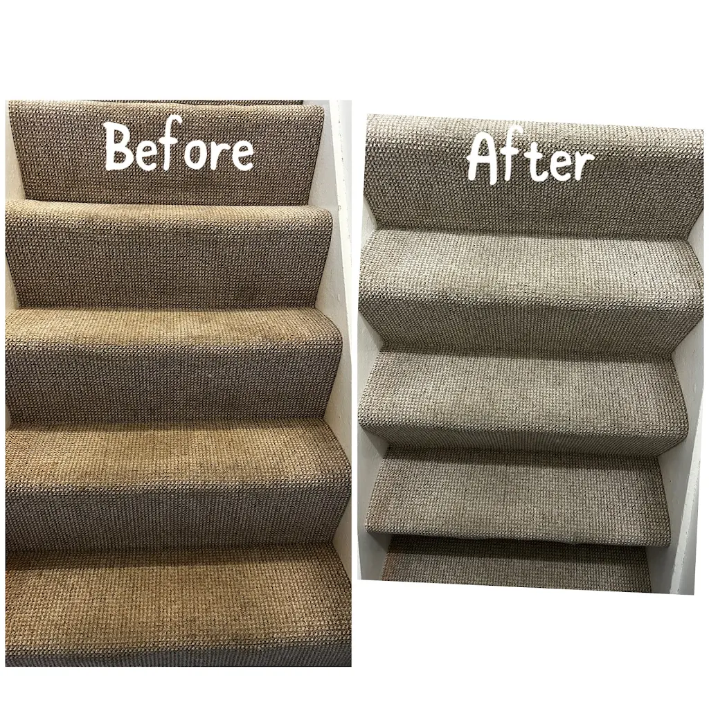 Album cover: Carpet cleaning 