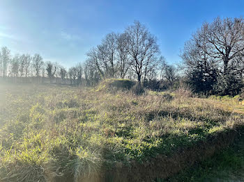 terrain à Martinet (85)