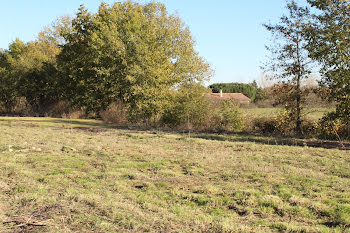 terrain à Nègrepelisse (82)