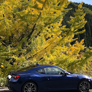 BRZ ZC6