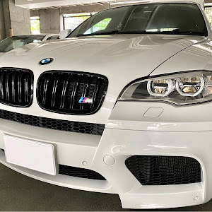 X6 M