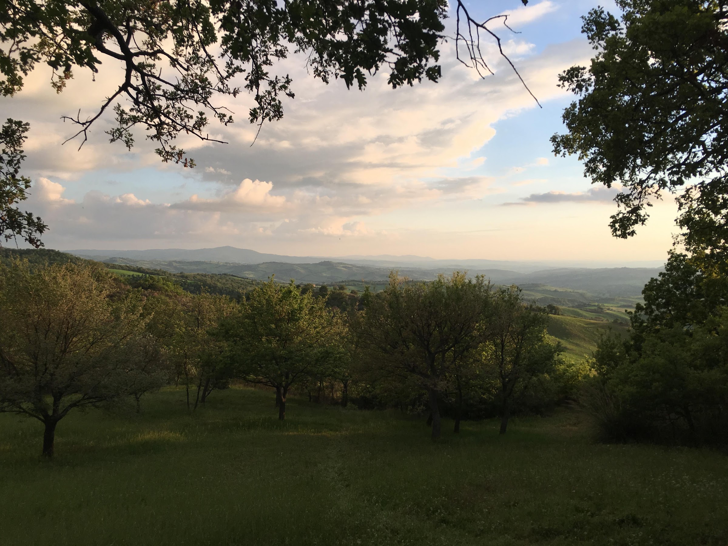 Casa vacanze a pochi chilometri da Montalcino, circondata dagli aromi della macchia mediterranea e con un panorama di rara bellezza