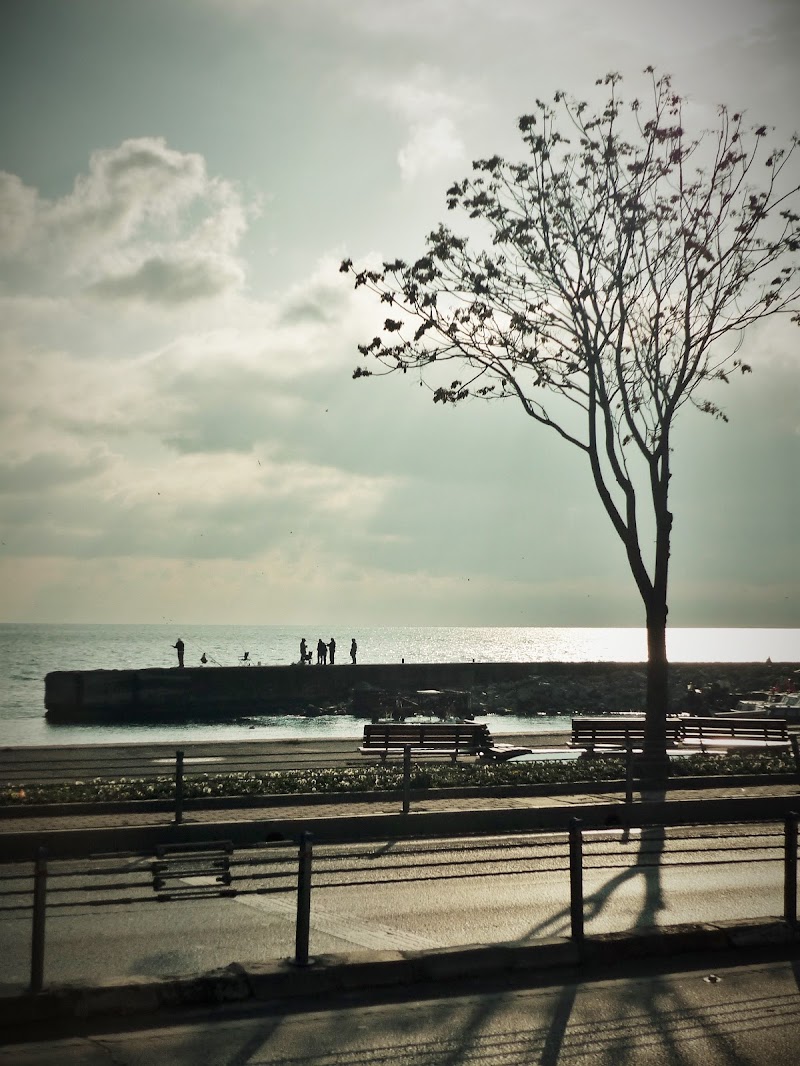 passeggiando in riva al Bosforo di simi1967