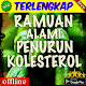 Ramuan Herbal Alami Penurun Kolesterol Download on Windows