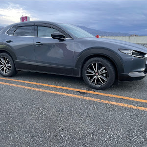 CX-30 DMEP