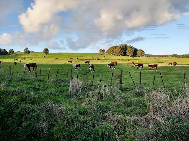 What to do in Northland New Zealand