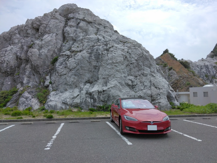 モデルSの和歌山・千畳敷海岸・アドベンチャーワールドに関するカスタム事例の投稿画像3枚目