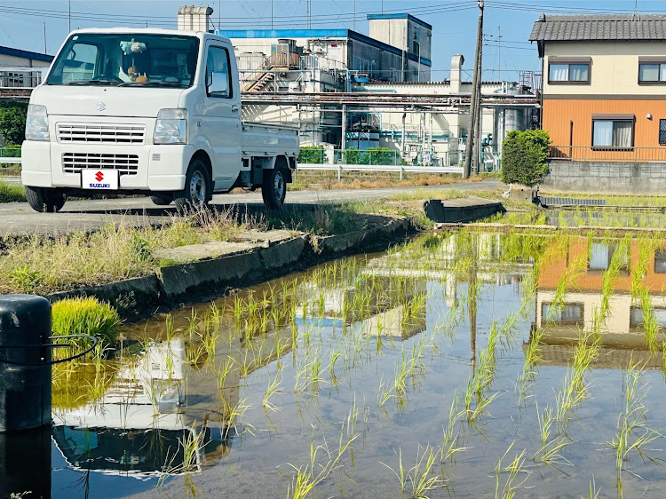 の投稿画像5枚目