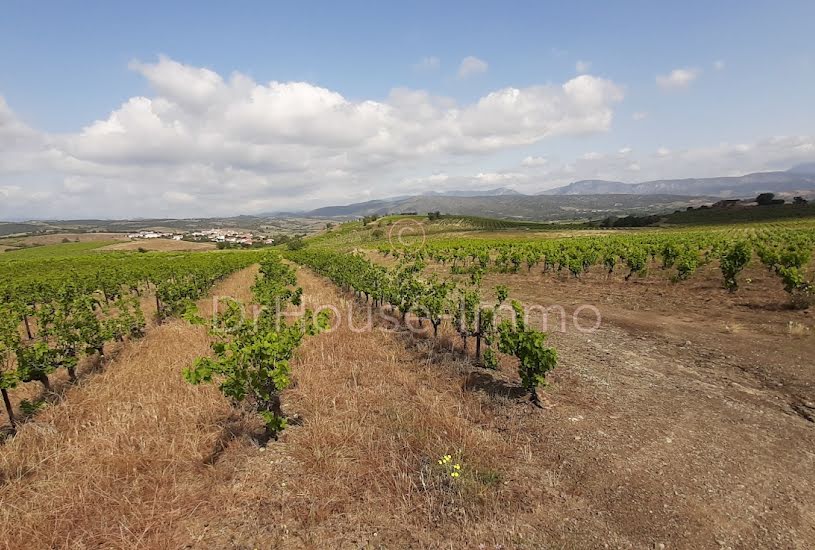  Vente Terrain agricole - 5 905m² à Montner (66720) 