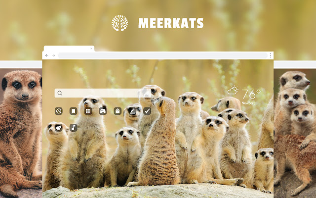 Meerkats HD Wallpapers New Tab Theme