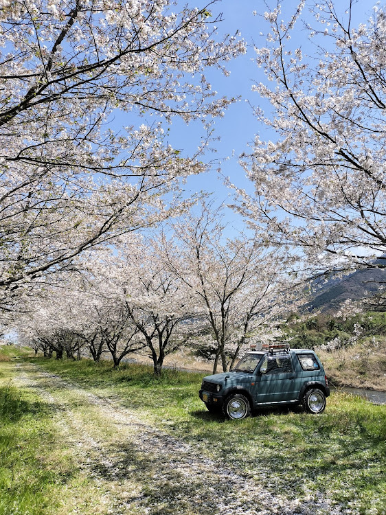 パジェロミニのパジェロミニのある生活・春を探して‥・桜・愛媛散歩に関するカスタム事例の投稿画像2枚目