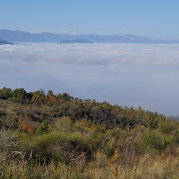 Nebbia di 