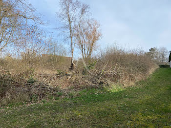 terrain à Mennetou-sur-Cher (41)