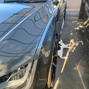 RS7 スポーツバック 4GCRDC