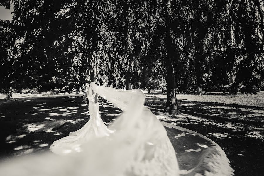 Esküvői fotós Inna Martynova (imphoto). Készítés ideje: 2015 július 10.