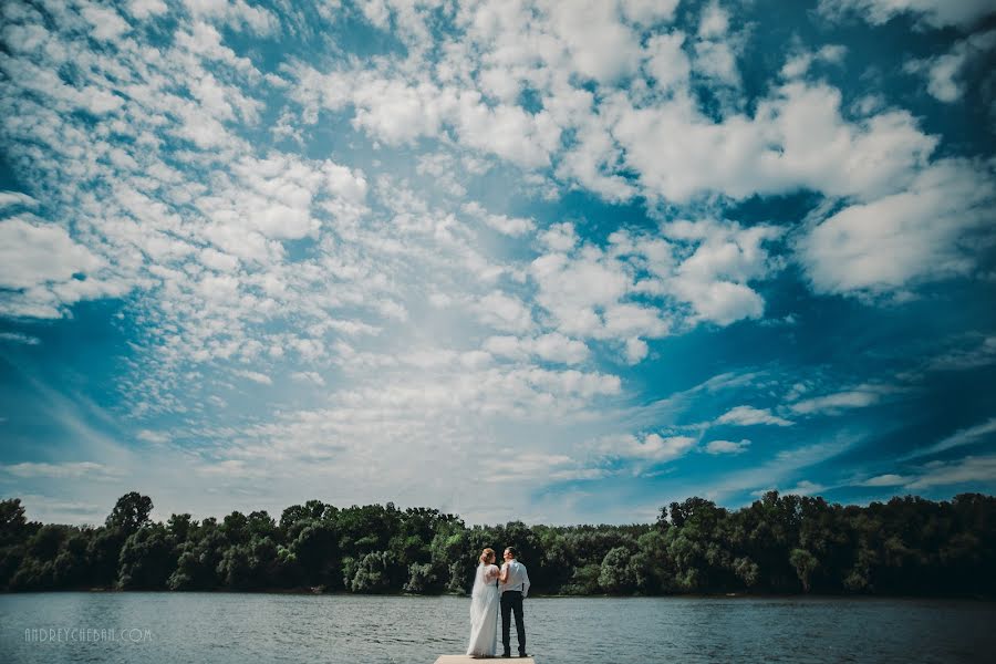 Fotógrafo de bodas Andrey Cheban (andreycheban). Foto del 13 de abril 2017