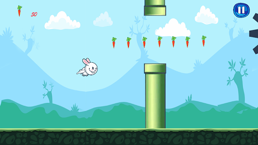 Bunny Fly : Eat The Carrots