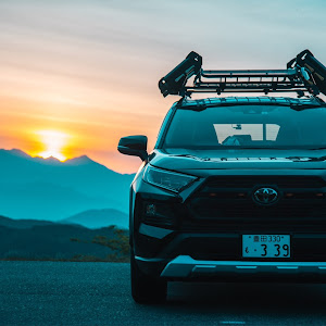 RAV4 MXAA54