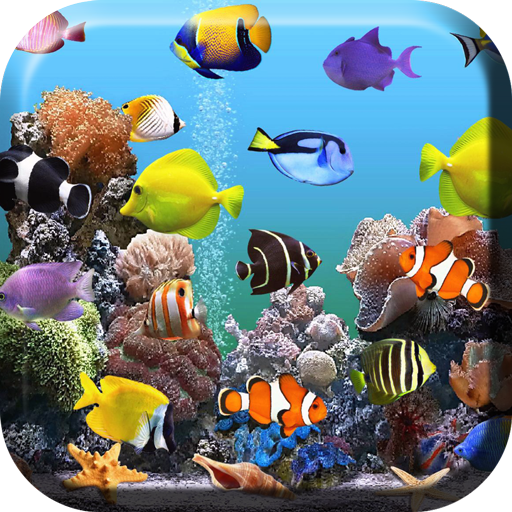 Aquarium Fond Décran Animé Applications Sur Google Play