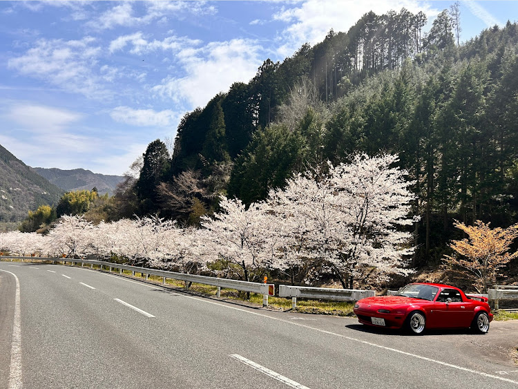 の投稿画像2枚目