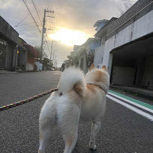 ハイエースバン