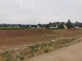 maison neuve à Beblenheim (68)