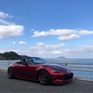 ロードスター ND5RC