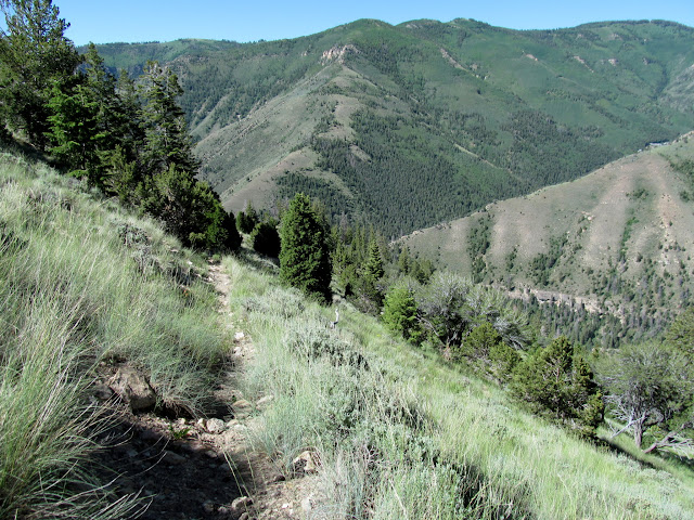 Heading down the trail in full sunlight