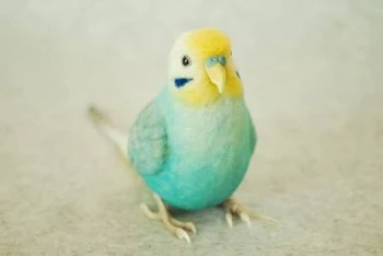 おしゃべりインコ