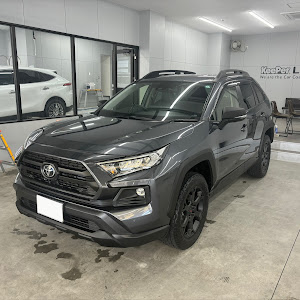 RAV4 MXAA54