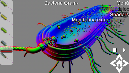 How to download 3D Gram Bacteria Explorer 2.3 mod apk for bluestacks