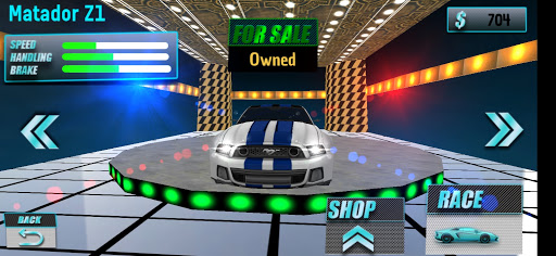 Screenshot Traffic Car Racing Driving Sim