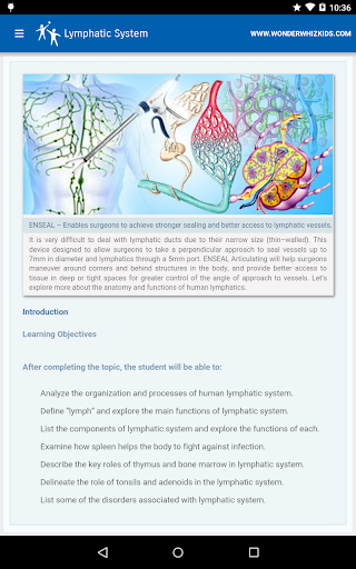 Screenshot Lymphatic System