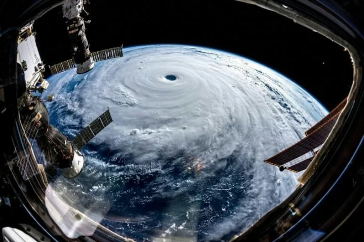 「台風  /  ﾆﾜ」のメインビジュアル