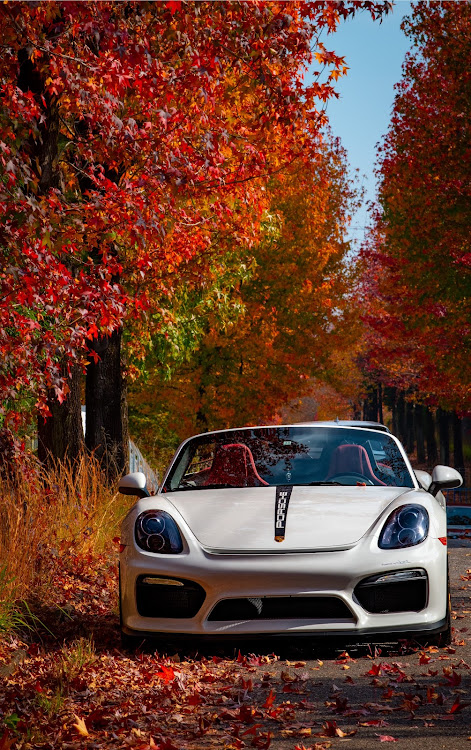 ボクスターのPORSCHE・BMW・F11・E90・紅葉に関するカスタム事例の投稿画像3枚目