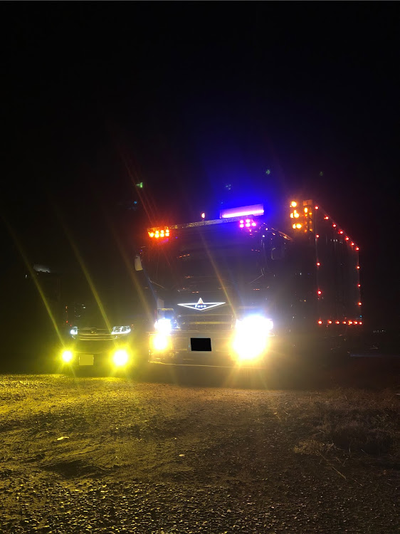 タントカスタムの市場・デコトラ・ファイター・ツーショット・うさぎに関するカスタム事例の投稿画像2枚目