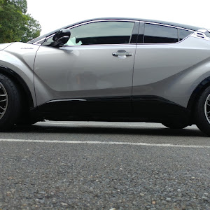 C-HR ZYX10