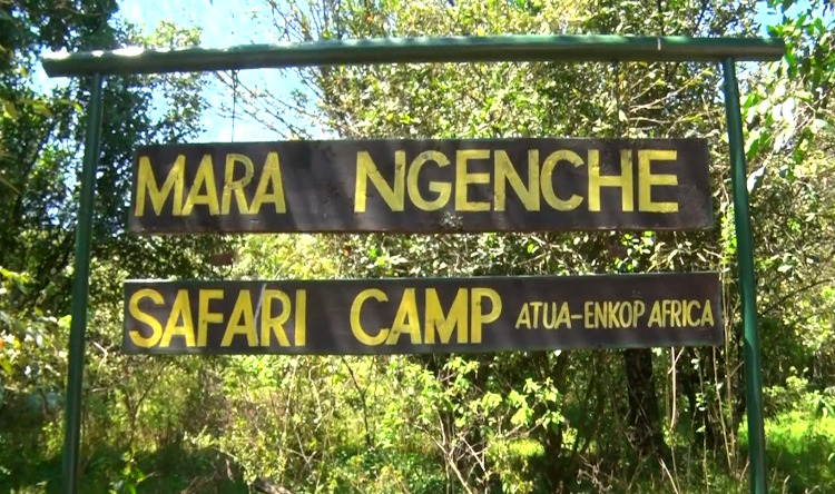 Mara Ngenche Safari camp in Maasai Mara.