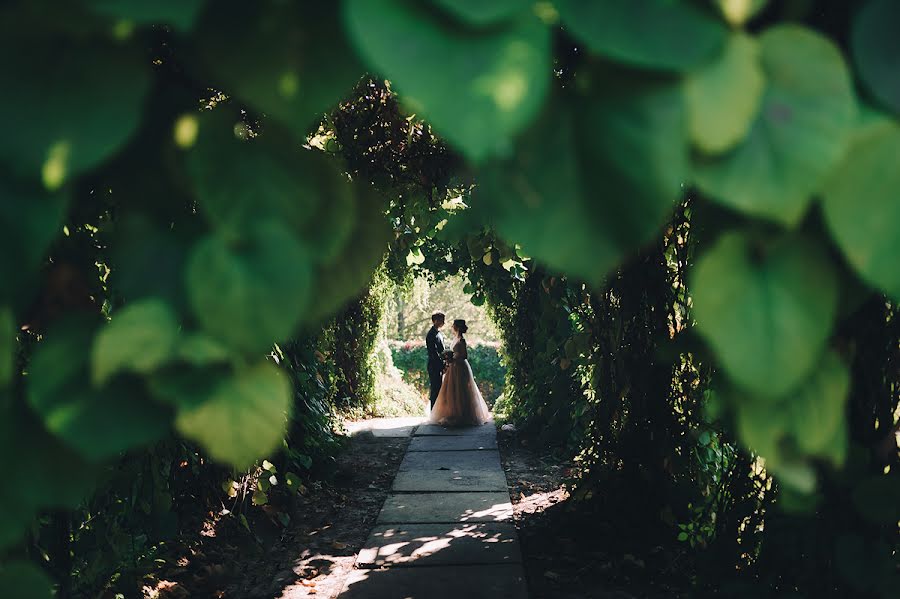 Fotógrafo de casamento Tatyana Shishigina (tanyashishigina). Foto de 7 de novembro 2017