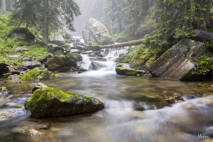 Cascade pe Jieţ, foto Marius