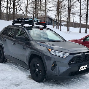 RAV4 MXAA54